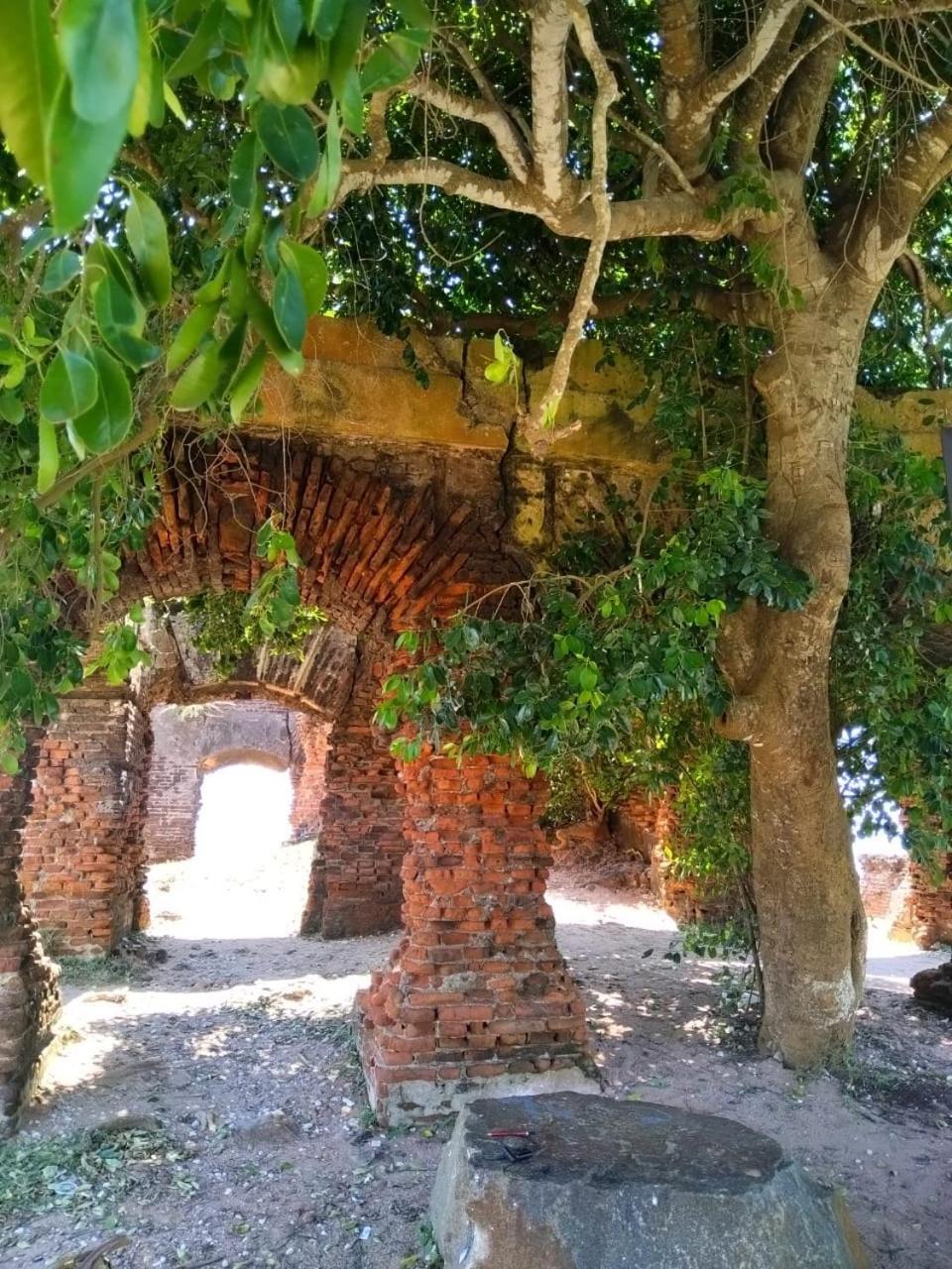 Enoch Guest House منار المظهر الخارجي الصورة